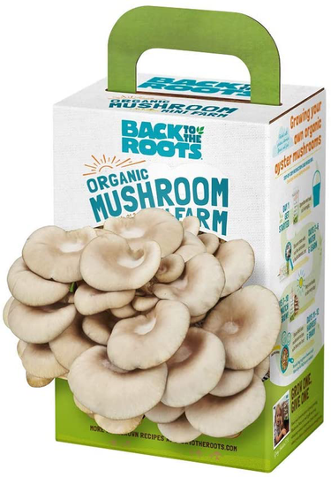 Organic Non-GMO Mushroom Grow Kit