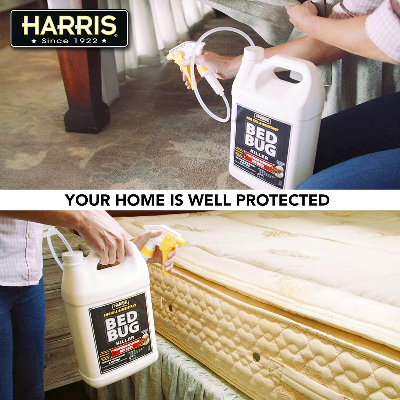 HARRIS Bed Bug and Egg Killer, Toughest Liquid Spray with Odorless and Non-Staining Extended Residual Kill Formula (Gallon)