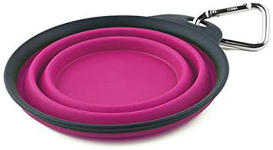 Dexas Pets Collapsible Travel Cup