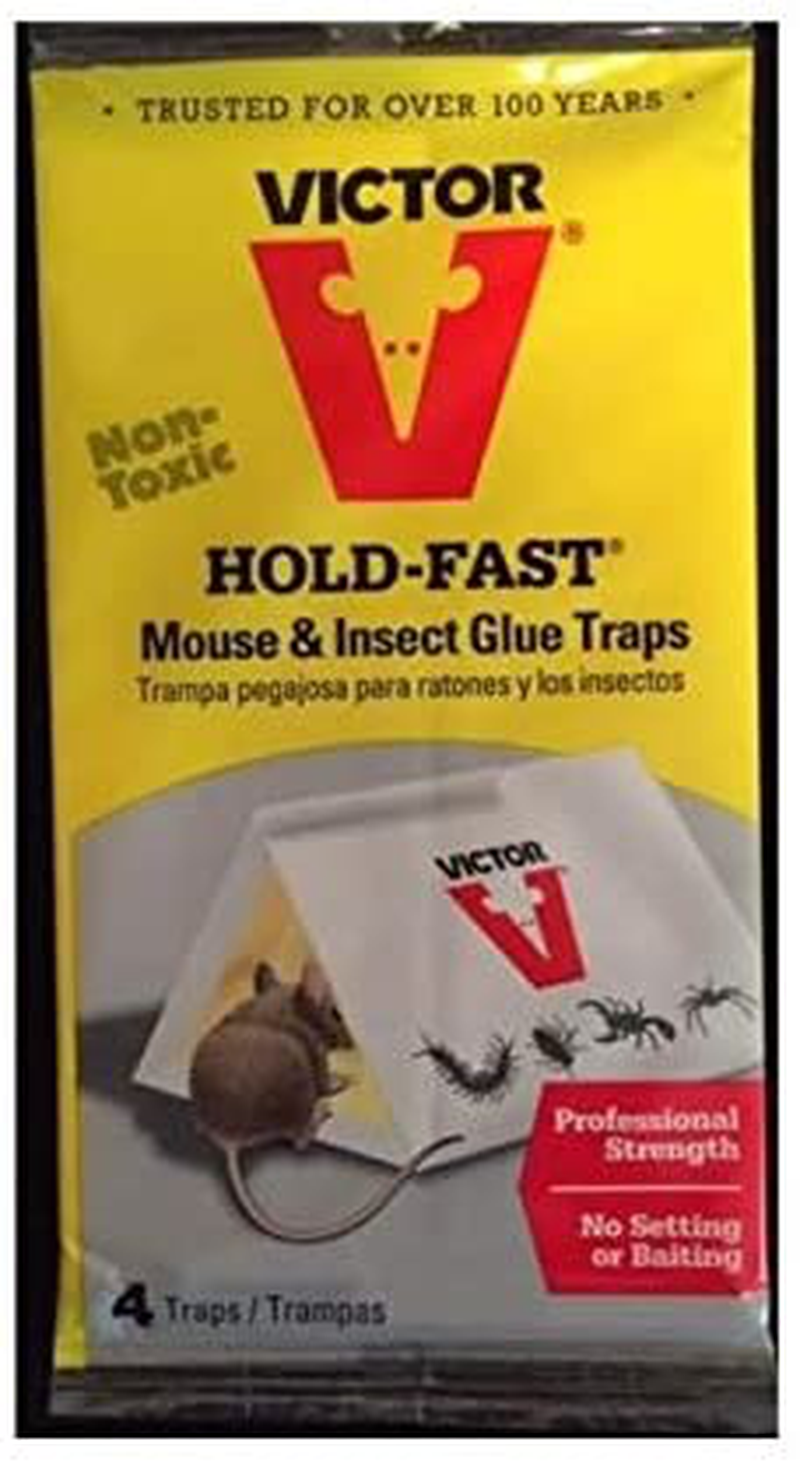 Woodstream Victor M180C-4 Hold-Fast Mouse & Insect Glue Traps - 4 Traps