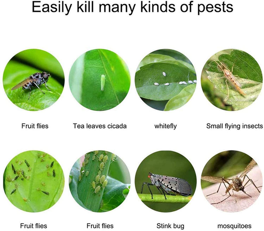 20 Pack Dual-Sided Yellow Sticky Traps for Flying Plant Insect Like Fungus Gnats, Aphids, Whiteflies, Leafminers