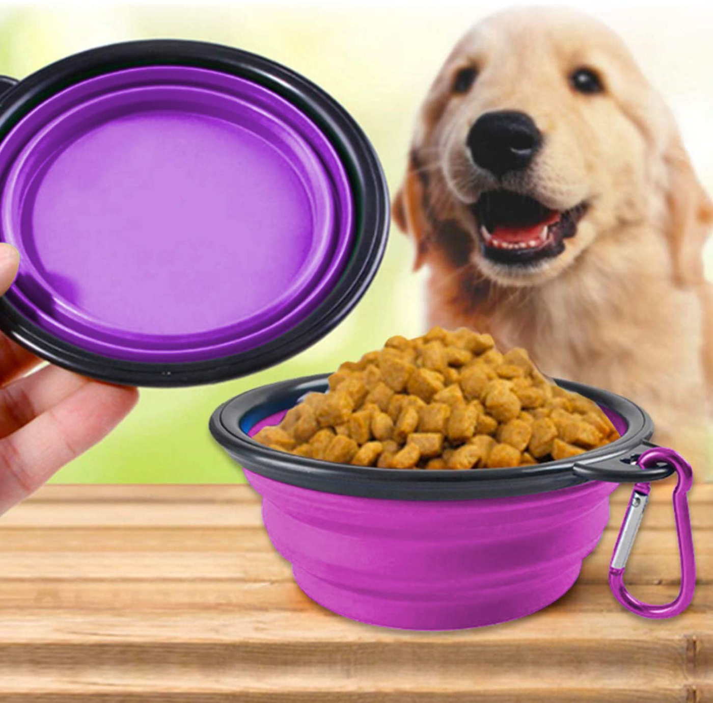 AYECEHI Portable Silicone Collapsible Pet Cat Bowls,[2 Pack] Foldable Expandable Water Feeding Travel Bowl Cup Dish for Pet Dogs and Cats - with 2 Pack Carabiners