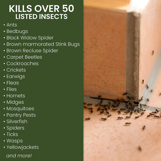 Natria 706261A Home Pest Control, 1-Gallon, Ready-to-Use Bug Killer for Indoor and Outdoor, 1 Gallon