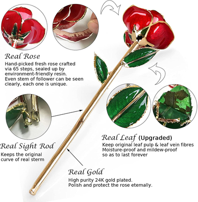 Gold Dipped Rose, Sinvitron Long Stem 24k Gold Dipped Real Rose Lasted Forever with Stand, Best Anniversary Gifts for Her
