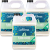 Aunt Fannie's Floor Cleaner Vinegar Wash - Multi-Surface Cleaner, 32 oz. (3-Pack, Eucalyptus)