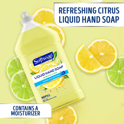 Softsoap Moisturizing Liquid Hand Soap, Soothing Clean Aloe Vera - 16.9 fluid ounces (4 Pack)