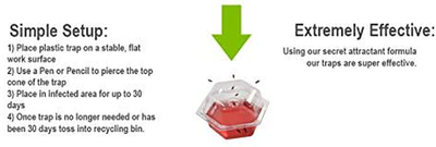 GREENSTRIKE 4 pack Prefilled Fruit Fly Trap - 60004,Red,Small