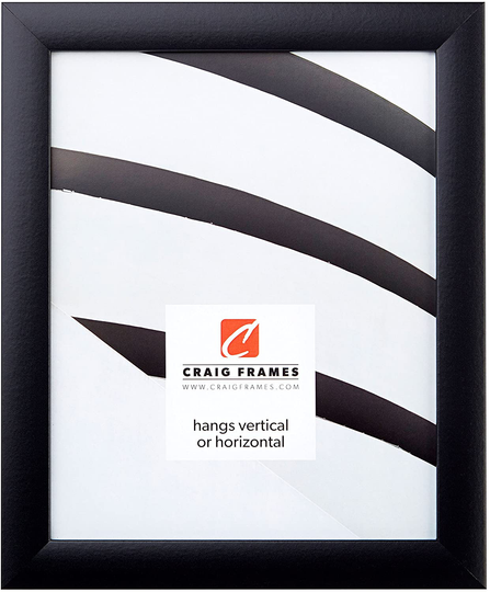 Craig Frames 1WB3BK 16 by 20 Inch Picture Frame, Smooth Wrap Finish, 1 Inch Wide, Black