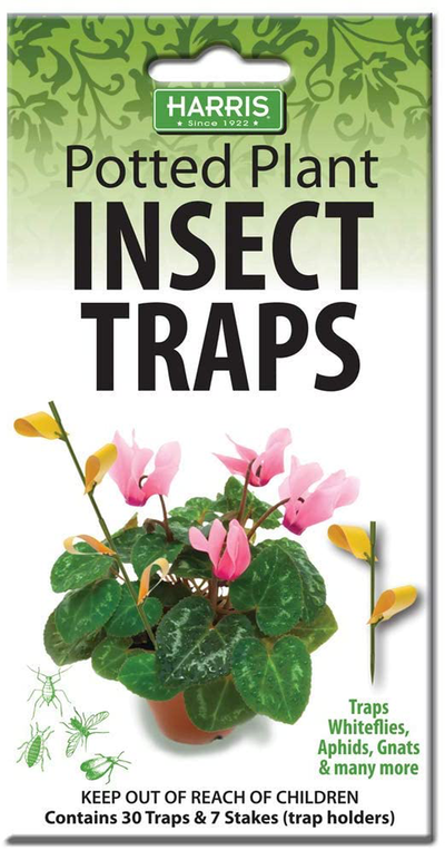 Potted Plant Insect Traps for Gnats, Aphids, Whiteflies and More