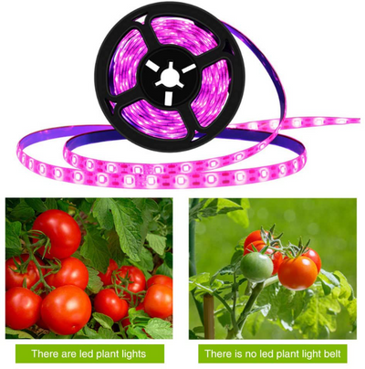 LED Waterproof Plant Grow Light Strips Full Spectrum