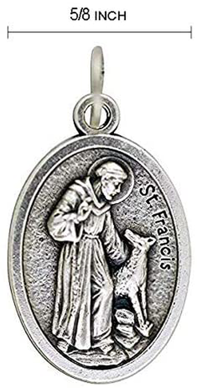 Religious Gifts St Francis Dog Tag - Saint Francis of Assisi Silver Tone Pet Medal, 1 Inch