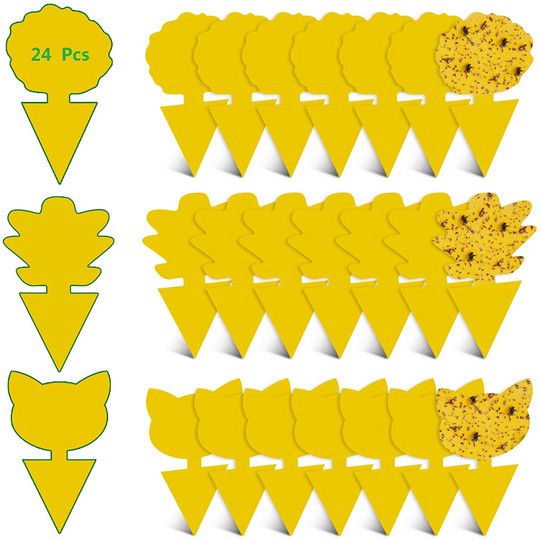 Multi Pack Yellow Fruit Fly Trap, 5 x 3 Inches Sticky Fungus Gnat Killer for Flying Plant Insect, Fungus Gnats, Whiteflies