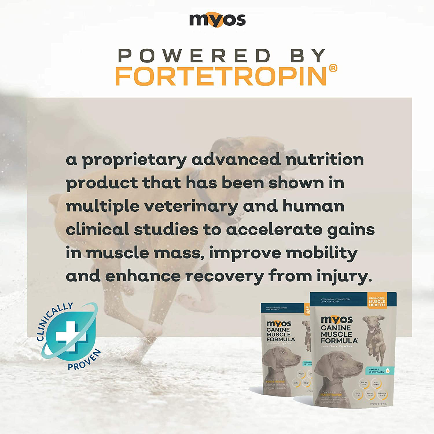 Canine Muscle Formula - Clinically Proven All-Natural Muscle Building Supplement 