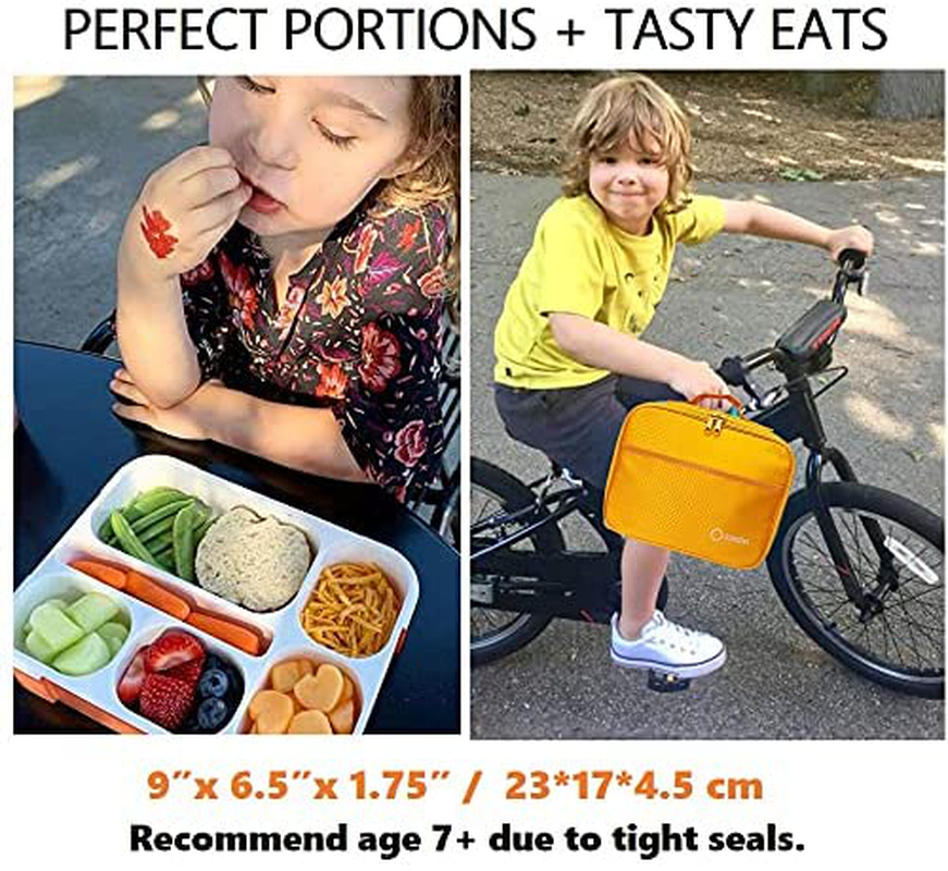 Bento-Box with Bag and Ice Pack Set. Lunch Boxes Snack Containers for Kids Boys Girls Adults. 6 Compartments, Leakproof Portion Container Boxes Insulated Bags for School Lunches, Blue