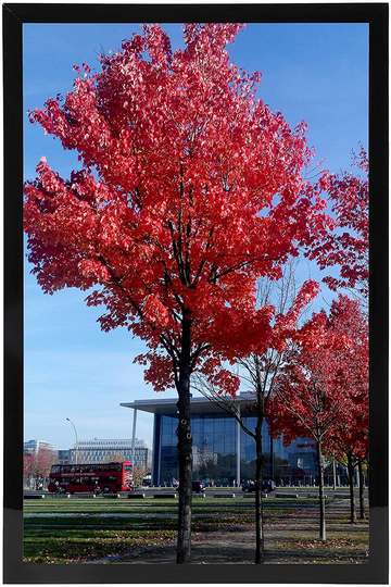 Medog 11 by 17 Picture Frame without Mat to Display picture 11x17 Wall Mounting Document Certificate Frames If Add Mat Can As 11x14 10x14 9x11 10x12 7x11 Picture Frame 11x17