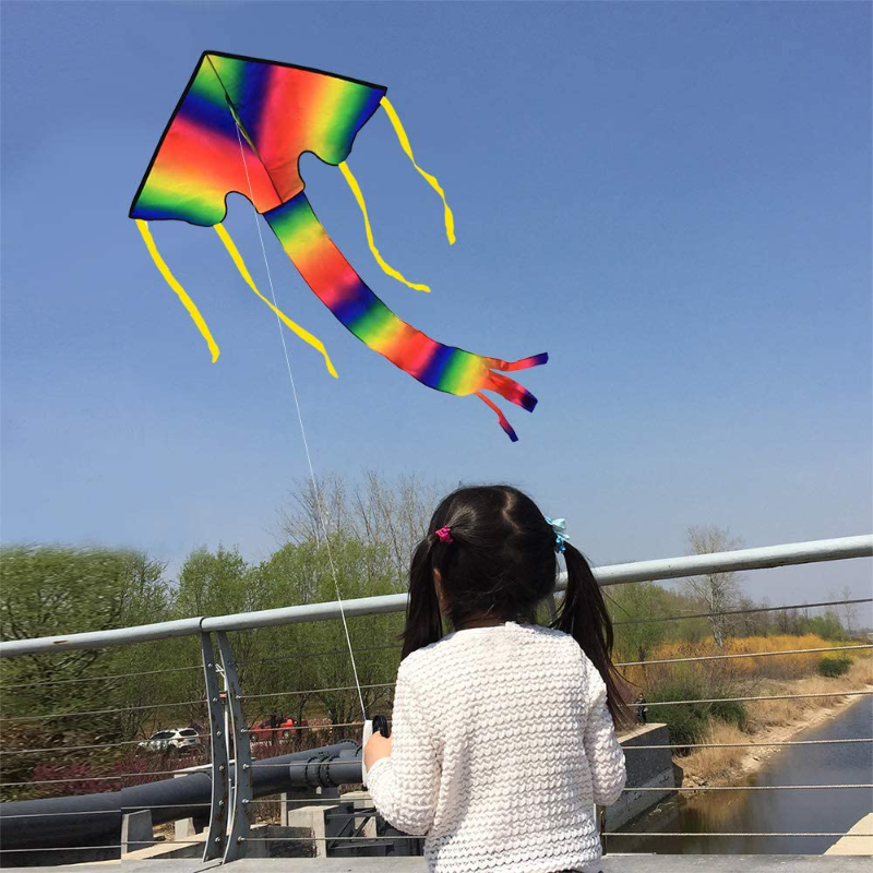 Easy Flyer Rainbow Delta Kite With Kit Line And Swivel Included