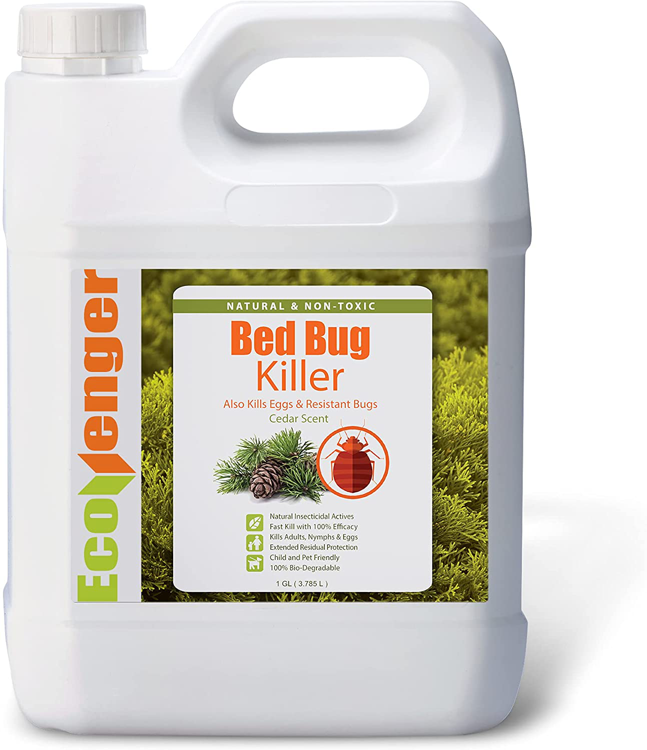 EcoRaider Bed Bug Killer Spray Jug, Green + Non-toxic, 100% Kill + Extended Protection, 128 Fl Oz (Pack of 1)