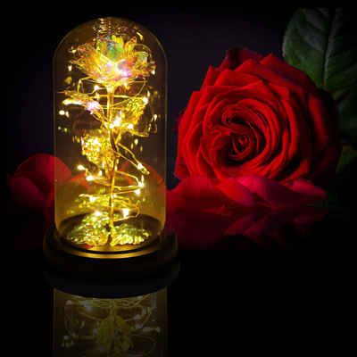 Christmas Rose Gift for her,Women's Gift Birthday Gifts Colorful Artificial Flower Rose Gift Led Light String on Colorful Flower, Last Forever in A Glass Dome, Unique Gift for Her,Thanksgiving Gift