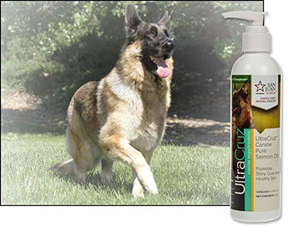 UltraCruz - sc-395126 Canine Pure Salmon Oil Supplement for Dogs, 8 oz