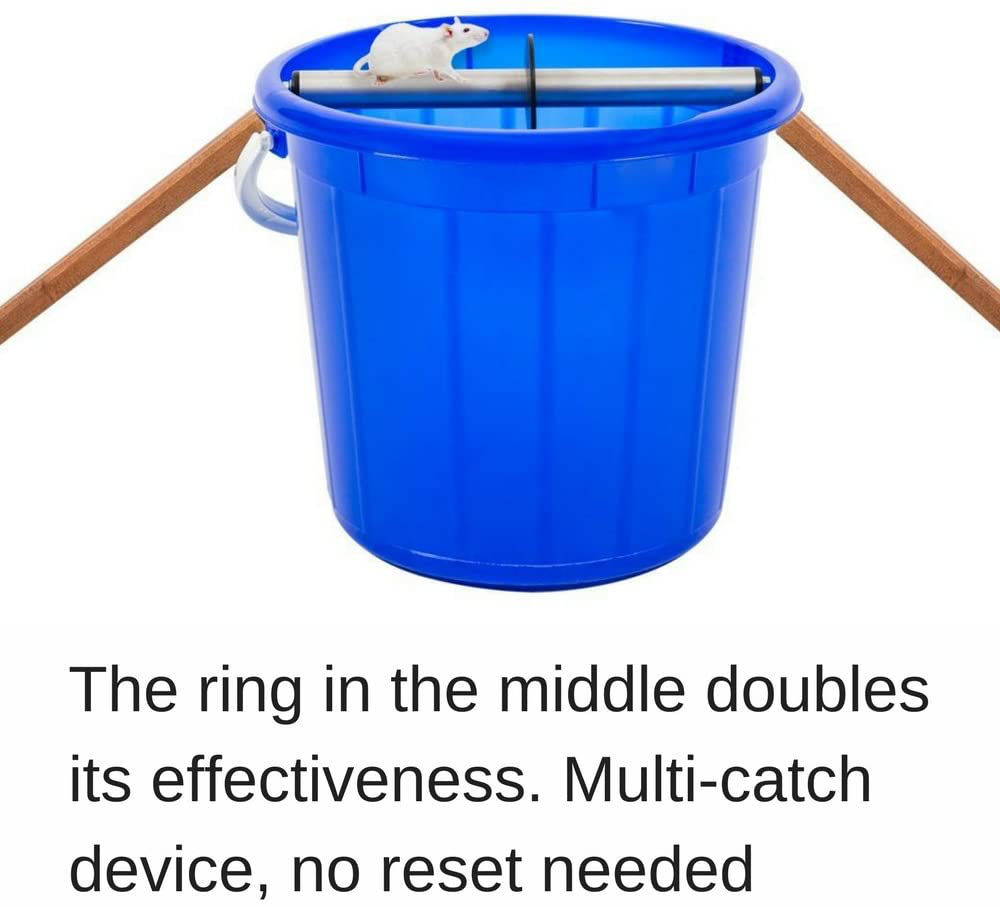 Odesos Mouse Trap, Live Catch and Release Bucket Spin Roller with an Original Ring for Mice Rats Rodents. Humane. Auto Rolling Reset. Safe for Children and Pets Works Outdoors and Indoors