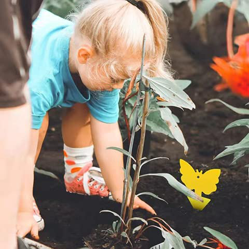 Sticky Traps for Fruit Fly Fungus Gnat, Mosquito & Bug 2 Ways Use-Hangable & Insertable, Best Effective Capture, Yellow Extremely Sticky Insect Trap Indoor/Outdoor/Kitchen Non-Toxic, 4 Shapes