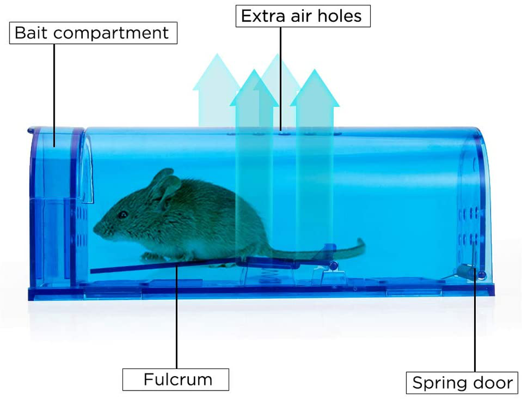 Humane Mouse Trap | 2 Pack Catch and Release Mouse Traps That Work | Mice Trap No Kill for mice/Rodent Pet Safe (Dog/Cat) Best Indoor/Outdoor Mousetrap Catcher Non Killer Small Mole Capture Cage