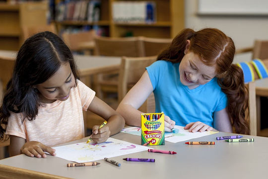 Crayola Crayons Bulk, Classroom Supplies for Teachers, 24 Crayon Packs with 24 Assorted Colors