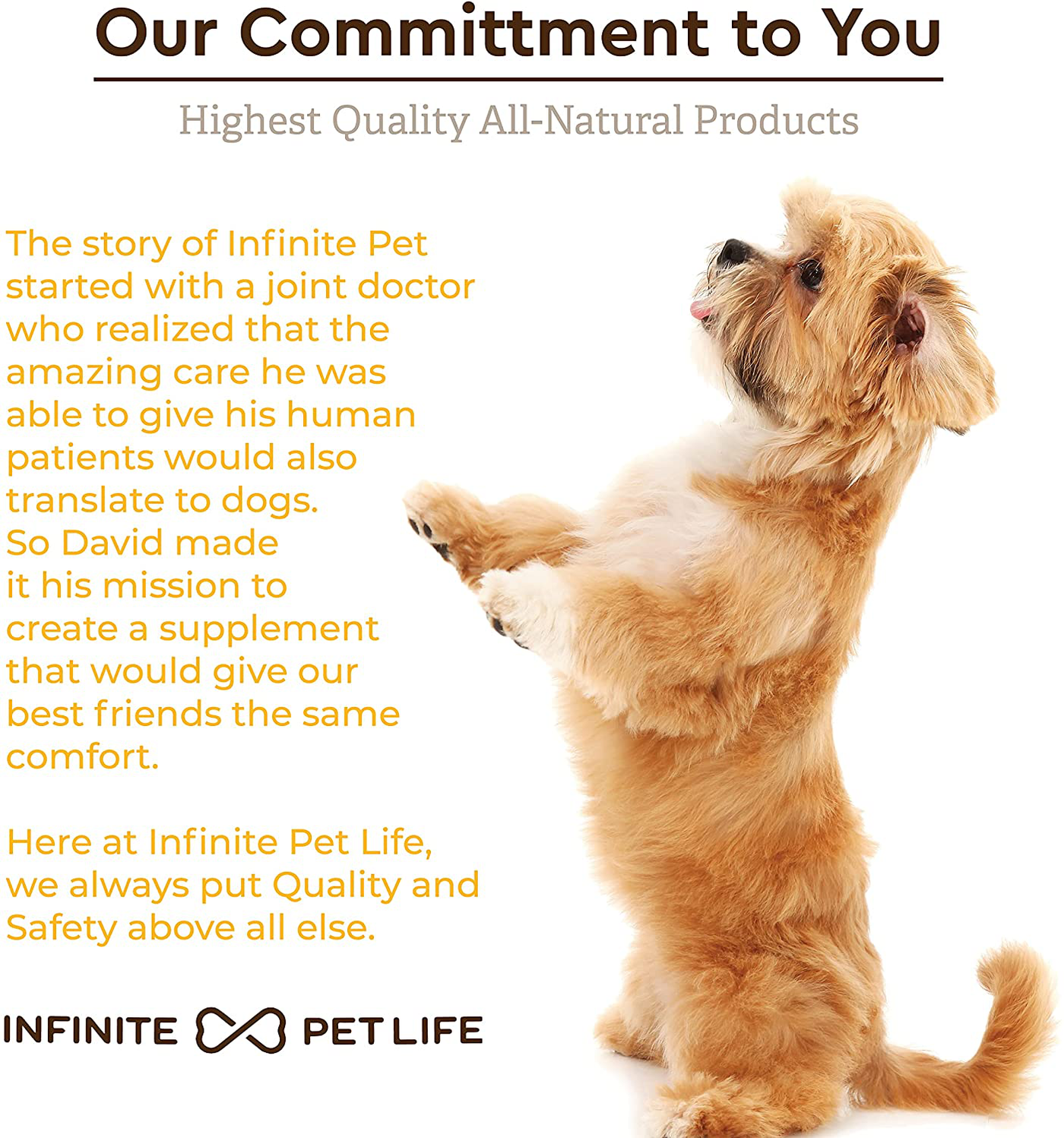 Infinite Pet Life Multi - Function Chews Multivitamins for Dogs | 90 Count - 8 in 1 | Skin & Coat, Allergy, Immunity, Joint Support | with Ashwagandha Supplement for Dogs