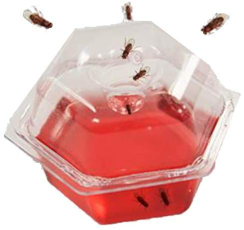 BEAPCO 10036 Prefilled Fruit Fly Traps, 6-Pack, Red