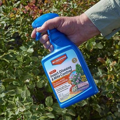 BIOADVANCED 701290B Insecticide Fungicide Miticide 3-in-1 Insect, Disease & Mite Control, 24 Oz