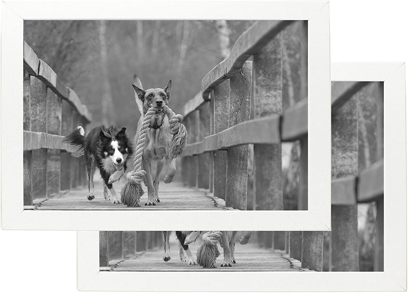 8x12 Black Gallery Picture Frame 2-Pack - Wide Molding - Includes Both Attached Hanging Hardware and Desktop Easel - Display Pictures 8 x 12 Inches - Eight by Twelve - Two Frames