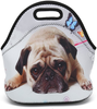 Boys Girls Kids Women Adults Insulated School Travel Outdoor Thermal Waterproof Carrying Lunch Tote Bag Cooler Box Neoprene Lunchbox Container Case (Cute Pug)