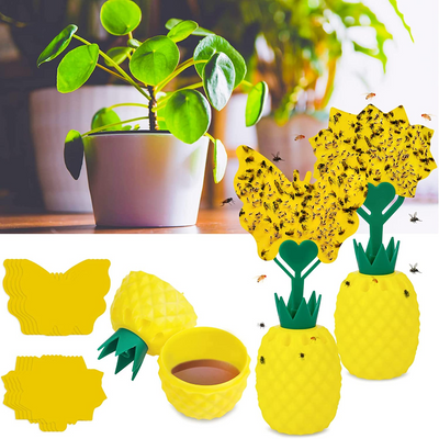 Multi Pack Yellow Fruit Fly Trap, 5 x 3 Inches Sticky Fungus Gnat Killer for Flying Plant Insect, Fungus Gnats, Whiteflies