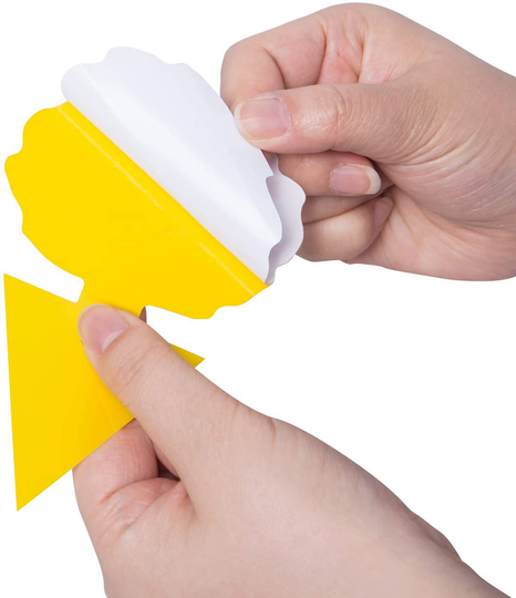 48 Pcs Sticky Traps, Fruit Fly Gnat Trap for Indoor and Outdoor Plants