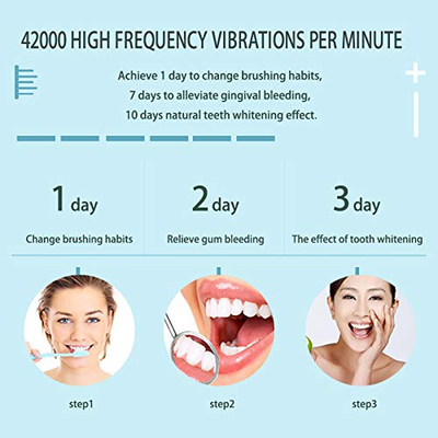 Rechargeable Sonic Electric Toothbrush - 6 Optional Modes IPX7 USB Fast Charging with 2 min Build in Timer & 4 Replacement Brush Heads