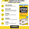 HARRIS Spider Glue Traps, Pesticide Free (2-Pack), Kills Brown Recluse, Hobo Spider, Black Widow and More