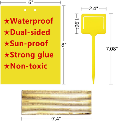 Dual-Sided Yellow Sticky Traps for Flying Plant Insect Such as Fungus Gnats, Whiteflies, Aphids