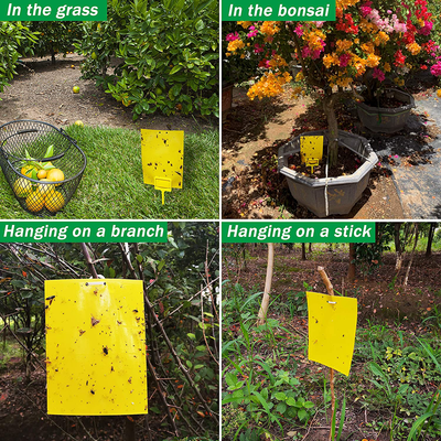 50 Sheets Yellow Sticky Traps, Fruit Fly Traps, for Indoor and Outdoor, Include Twist Ties and Plastic Holders
