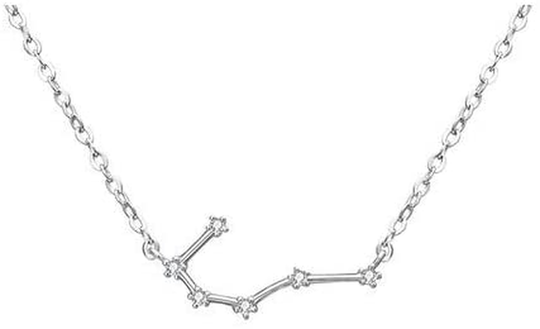 925 Sterling SilverCZ Horoscope Zodiac 12 Constellation Astrology Pendant Necklace for Women Girls Teen Girls and Kids Birthday Gift