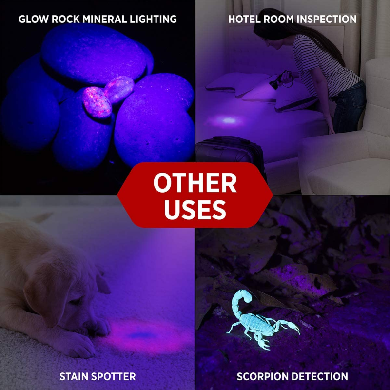GearLight LED UV Black Light Flashlight 