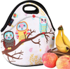 iColor Cute Owls Neoprene Insulated Waterproof Cooler Box Container Soft Case baby lunchbox Handbag Work Travel Outdoor Thermal Lunch Tote Bag School/Office Storage Pouch