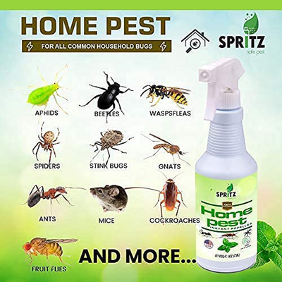 Spritz Home Pest Peppermint Oil Spray for Bugs & Insects | 100% Non-Toxic | Made with Essential Oils - Pet Safe and Effective | Ant, Roach, and Spider Repellent 16oz (2)