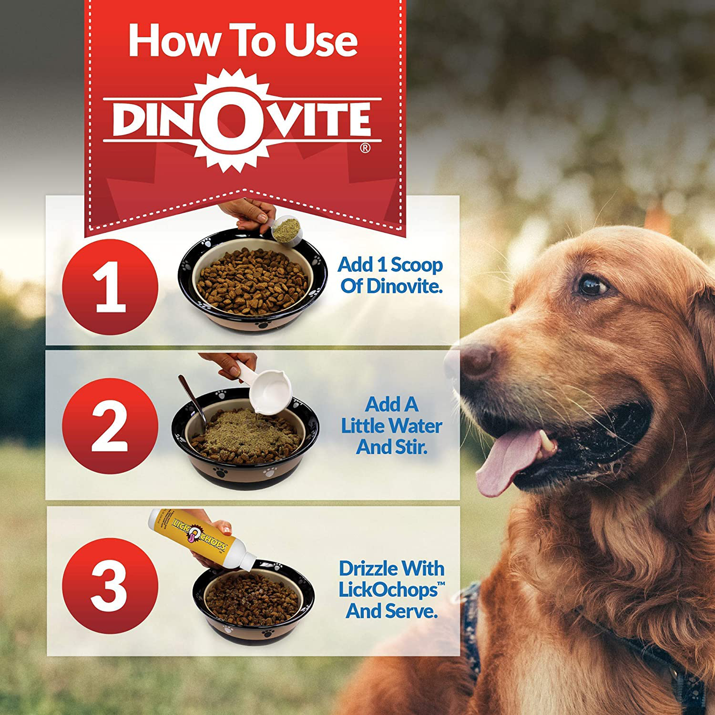Dog Supplement - Immune + Digestive, Skin + Coat Support, Vitamins, Minerals, Omega 3
