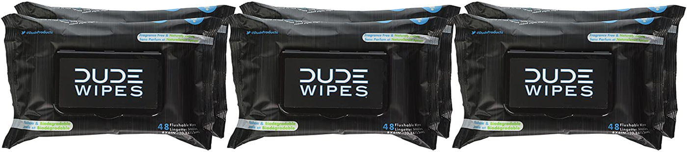 DUDE Wipes Flushable Wipes Dispenser, 48 Count (Pack of 1)