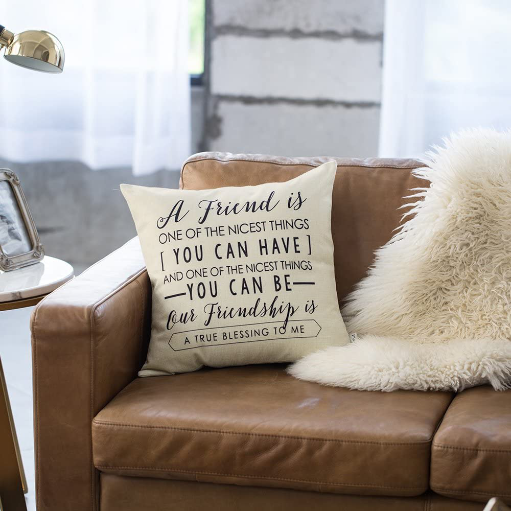 Meekio Friendship Gifts Decorative Throw Pillow Covers 18" x 18" with Friend Quotes