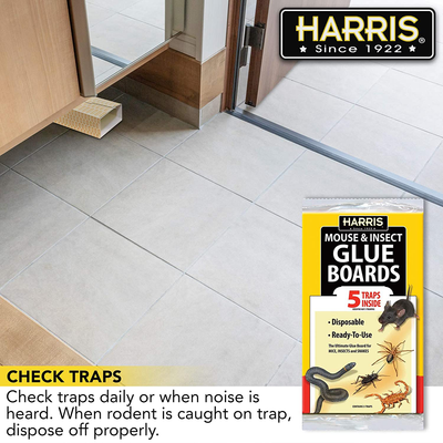 Harris GB-5 Mouse/Rat Trap