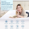 LANOITE Queen Waterproof Mattress Protector Pad Cover with Deep Pocket Fitted 8" - 21" Breathable Alternative Filling (White, Queen)