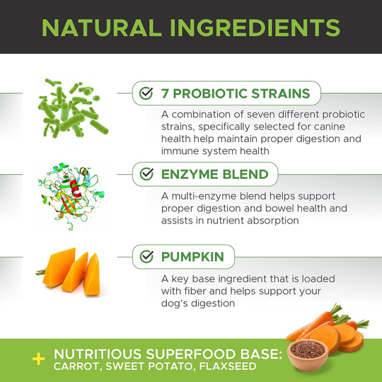 PetHonesty Probiotics for Dogs - All-Natural Advanced Dog Probiotics Chews with Prebiotics & Pumpkin, Helps with Dog Diarrhea and Constipation, Improves Digestion, Allergy, Immunity & Health