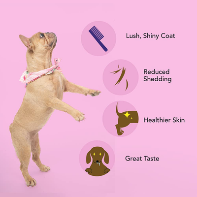 Kenn & Kitt Skin and Coat | Reduces Shedding & Hydrates the Skin With Salmon Oil For Dogs | Omega 3 & 6 Dog Skin and Coat Supplement | Dog Itchy Skin Preventative | Dog Coat Supplement | 60 Soft Chews