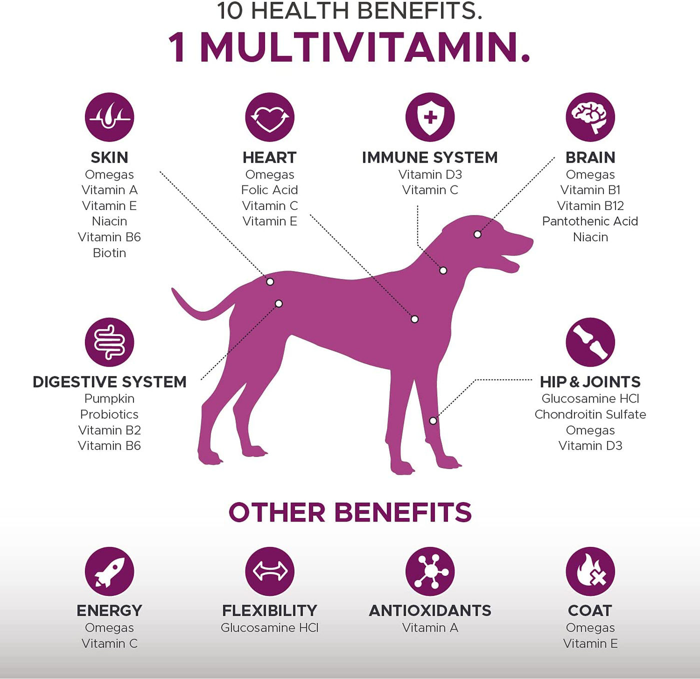 PetHonesty 10 in 1 Dog Multivitamin with Glucosamine - Essential Dog Vitamins with Glucosamine Chondroitin, Probiotics and Omega Fish Oil for Dogs Overall Health - Vitamins for Joint Supplement Heart